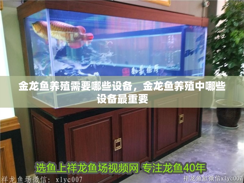 金龍魚養殖需要哪些設備，金龍魚養殖中哪些設備最重要