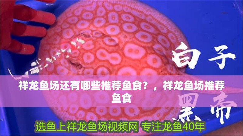 祥龍魚場還有哪些推薦魚食？，祥龍魚場推薦魚食