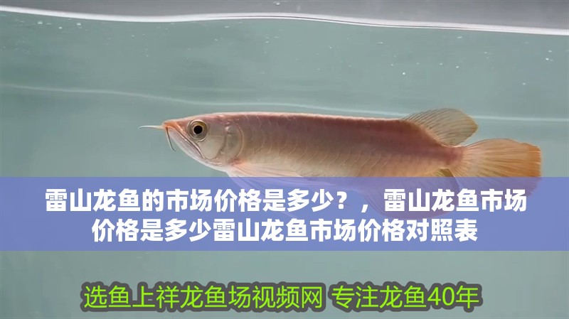 雷山龍魚的市場價格是多少？，雷山龍魚市場價格是多少雷山龍魚市場價格對照表