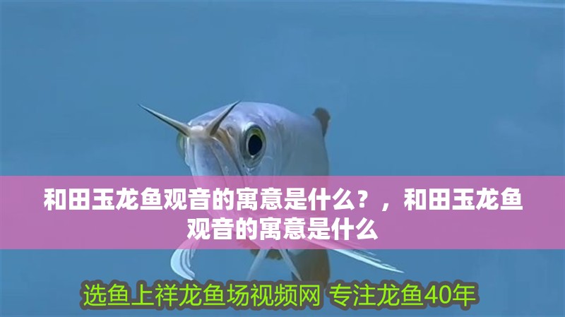 和田玉龍魚觀音的寓意是什么？，和田玉龍魚觀音的寓意是什么
