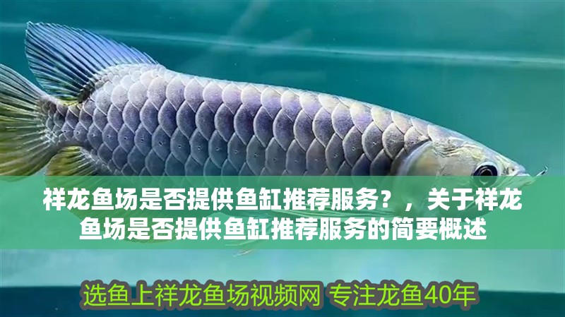 祥龍魚場是否提供魚缸推薦服務？，關于祥龍魚場是否提供魚缸推薦服務的簡要概述