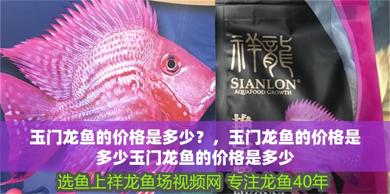 玉門龍魚的價格是多少？，玉門龍魚的價格是多少玉門龍魚的價格是多少