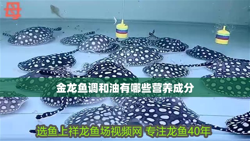 金龍魚調和油有哪些營養成分