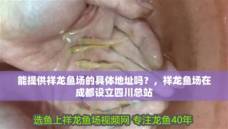 能提供祥龍魚場的具體地址嗎？，祥龍魚場在成都設立四川總站