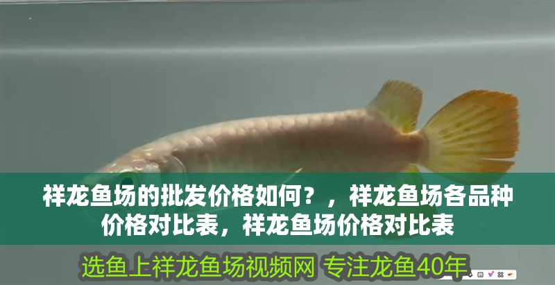祥龍魚場的批發價格如何？，祥龍魚場各品種價格對比表，祥龍魚場價格對比表
