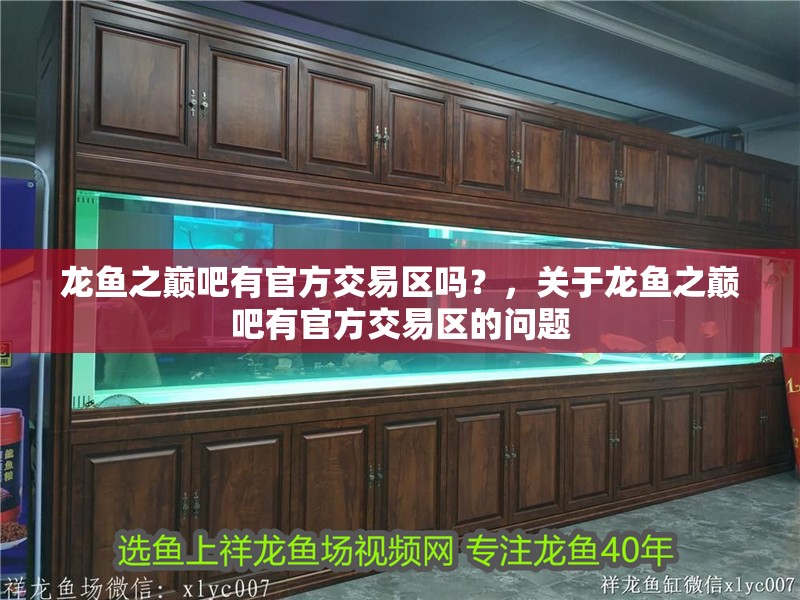 龍魚之巔吧有官方交易區嗎？，關于龍魚之巔吧有官方交易區的問題