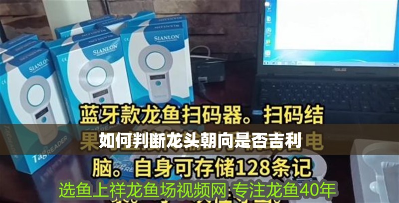 如何判斷龍頭朝向是否吉利