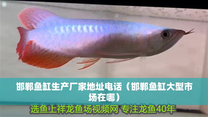 邯鄲魚缸生產廠家地址電話（邯鄲魚缸大型市場在哪）