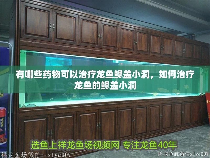 有哪些藥物可以治療龍魚鰓蓋小洞，如何治療龍魚的鰓蓋小洞