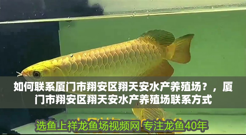 如何聯系廈門市翔安區翔天安水產養殖場？，廈門市翔安區翔天安水產養殖場聯系方式