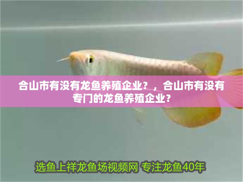 合山市有沒有龍魚養殖企業？，合山市有沒有專門的龍魚養殖企業？