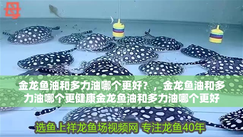 金龍魚油和多力油哪個更好？，金龍魚油和多力油哪個更健康金龍魚油和多力油哪個更好