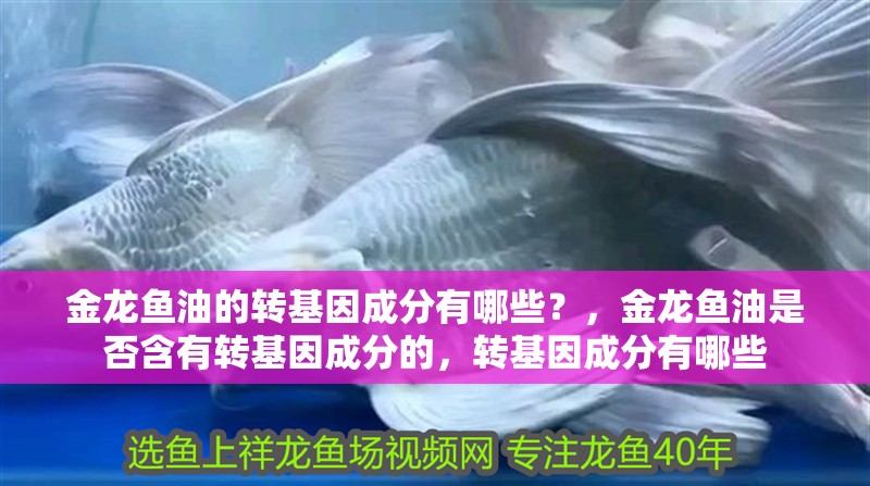 金龍魚油的轉(zhuǎn)基因成分有哪些？，金龍魚油是否含有轉(zhuǎn)基因成分的，轉(zhuǎn)基因成分有哪些