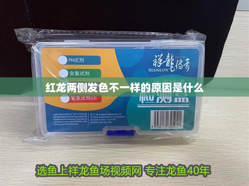 紅龍兩側發色不一樣的原因是什么