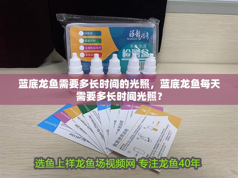 藍底龍魚需要多長時間的光照，藍底龍魚每天需要多長時間光照？