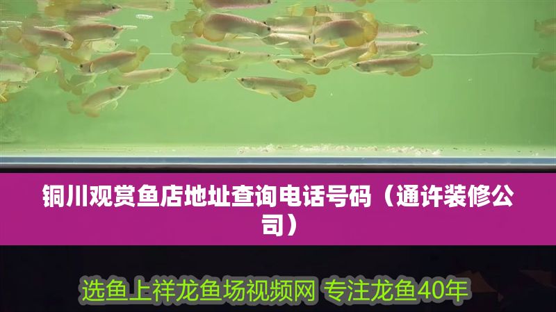 銅川觀賞魚店地址查詢電話號碼（通許裝修公司） 銅川觀賞魚店地址查詢電話號碼（通許裝修公司） 全國水族館企業名錄 第1張