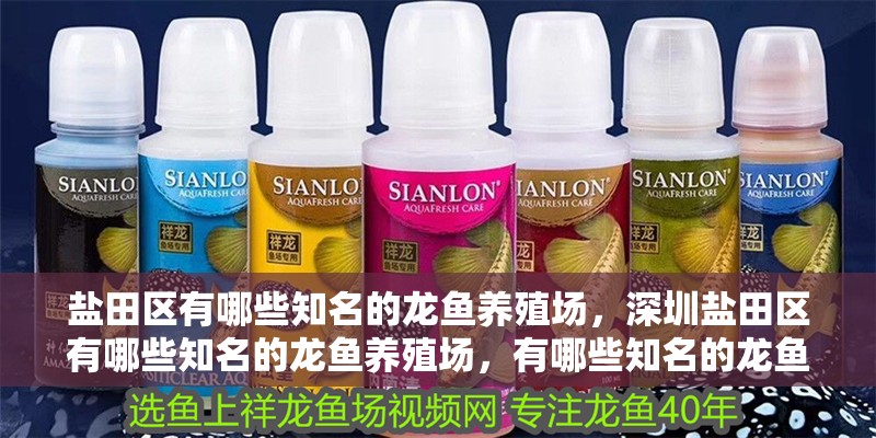 鹽田區有哪些知名的龍魚養殖場，深圳鹽田區有哪些知名的龍魚養殖場，有哪些知名的龍魚養殖場