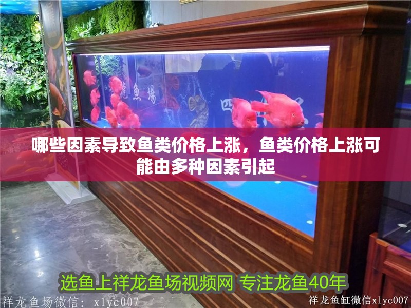 哪些因素導致魚類價格上漲，魚類價格上漲可能由多種因素引起