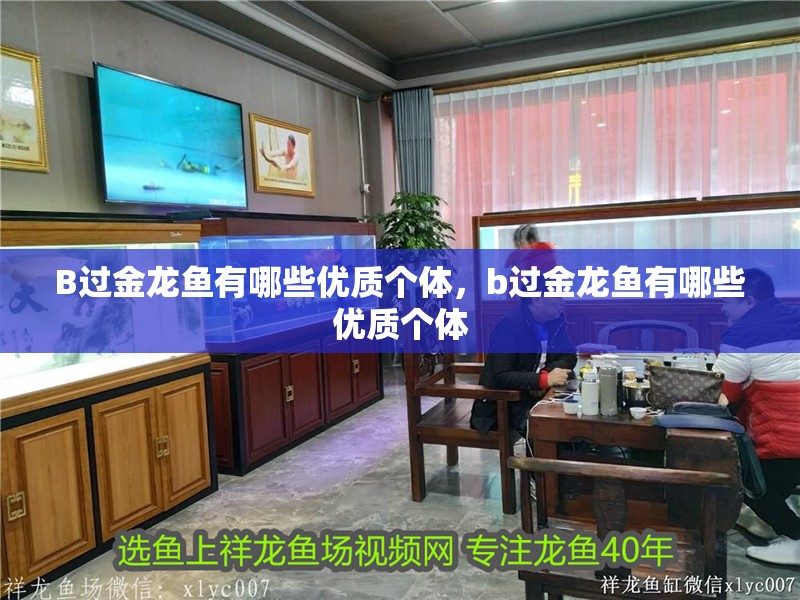 B過(guò)金龍魚(yú)有哪些優(yōu)質(zhì)個(gè)體，b過(guò)金龍魚(yú)有哪些優(yōu)質(zhì)個(gè)體