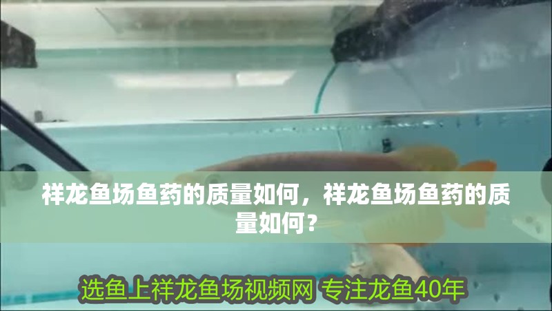 祥龍魚場魚藥的質量如何，祥龍魚場魚藥的質量如何？