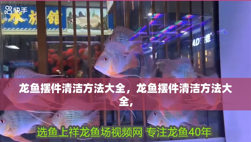 龍魚擺件清潔方法大全，龍魚擺件清潔方法大全,