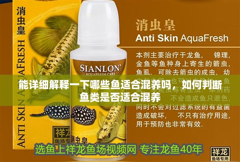 能詳細(xì)解釋一下哪些魚適合混養(yǎng)嗎，如何判斷魚類是否適合混養(yǎng)