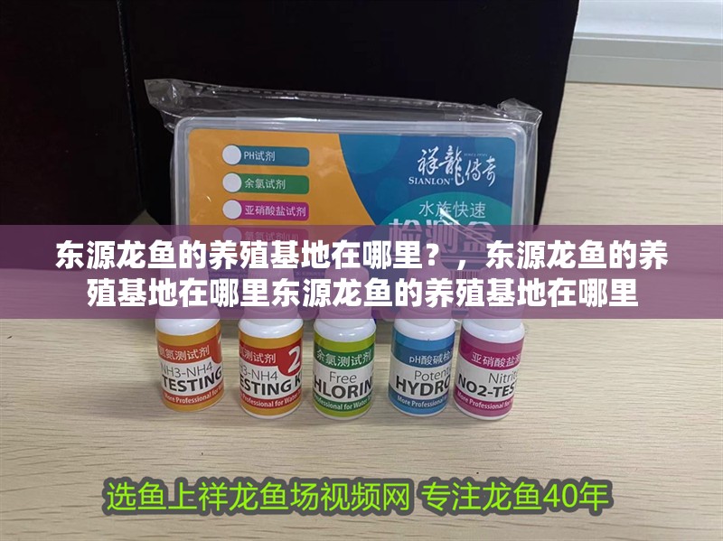 東源龍魚的養殖基地在哪里？，東源龍魚的養殖基地在哪里東源龍魚的養殖基地在哪里