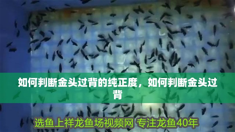 華藝國際拍賣有限公司的詳細背景，華藝國際拍賣有限公司