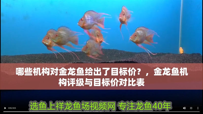 哪些機(jī)構(gòu)對(duì)金龍魚給出了目標(biāo)價(jià)？，金龍魚機(jī)構(gòu)評(píng)級(jí)與目標(biāo)價(jià)對(duì)比表