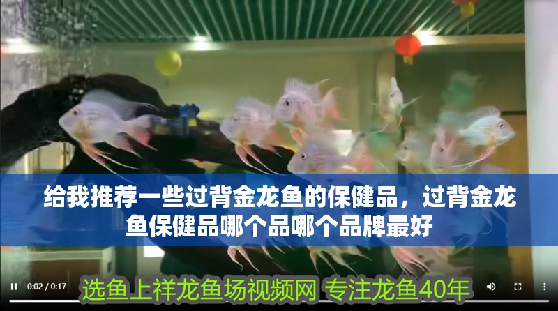 給我推薦一些過背金龍魚的保健品，過背金龍魚保健品哪個品哪個品牌最好