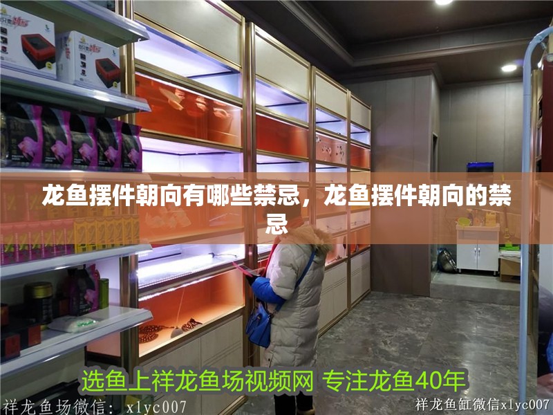 鸚鵡魚和銀龍魚混養(yǎng)怎樣喂食 龍魚擺件朝向有哪些禁忌,龍魚擺件朝向的禁忌 龍魚百科 龍魚擺件朝向有哪些禁忌,龍魚擺件朝向的禁忌 龍魚擺件朝向有哪些禁忌,龍魚擺件朝向的禁忌 龍魚百科