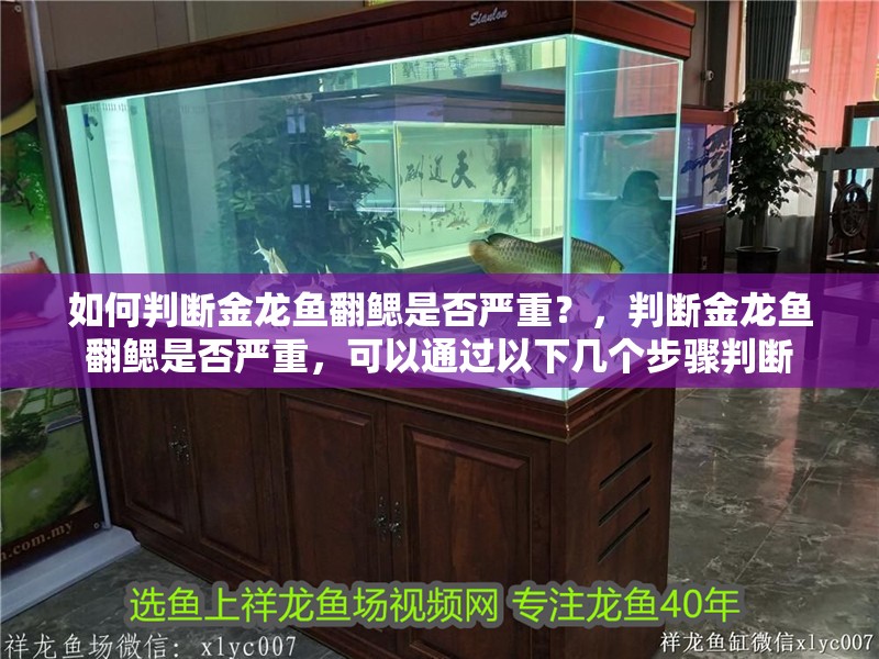 魚缸用增氧泵價格是多少:魚缸增氧機-xtrac增氧機-xtrac增氧機 如何判斷金龍魚翻鰓是否嚴重?,判斷金龍魚翻鰓是否嚴重,可以通過以下幾個步驟判斷 龍魚百科 如何判斷金龍魚翻鰓是否嚴重?,判斷金龍魚翻鰓是否嚴重,可以通過以下幾個步驟判斷 如何判斷金龍魚翻鰓是否嚴重?,判斷金龍魚翻鰓是否嚴重,可以通過以下幾個步驟判斷 龍魚百科