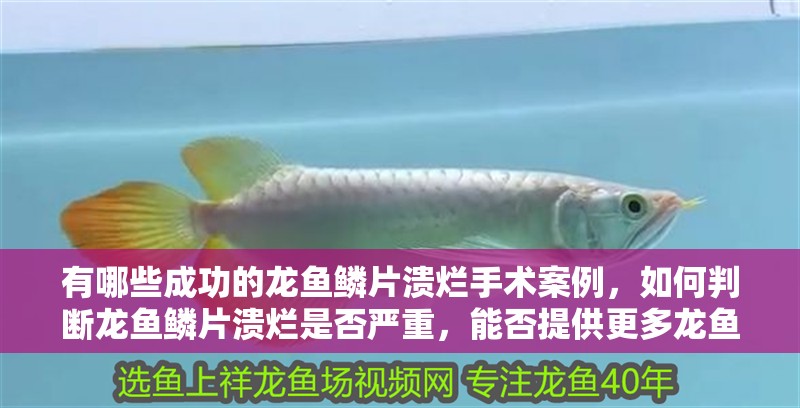 有哪些成功的龍魚鱗片潰爛手術案例，如何判斷龍魚鱗片潰爛是否嚴重，能否提供更多龍魚鱗片潰爛手術案例