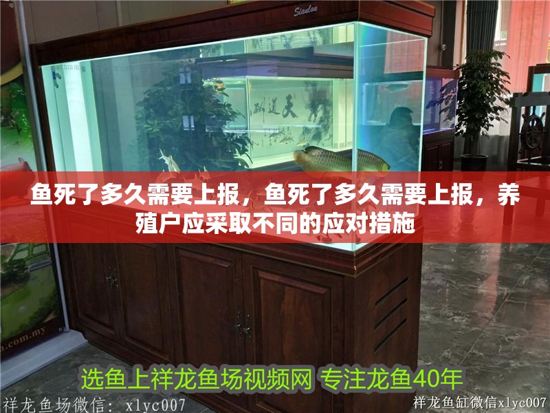 魚死了多久需要上報，魚死了多久需要上報，養殖戶應采取不同的應對措施 魚死了多久需要上報，魚死了多久需要上報，養殖戶應采取不同的應對措施 龍魚百科