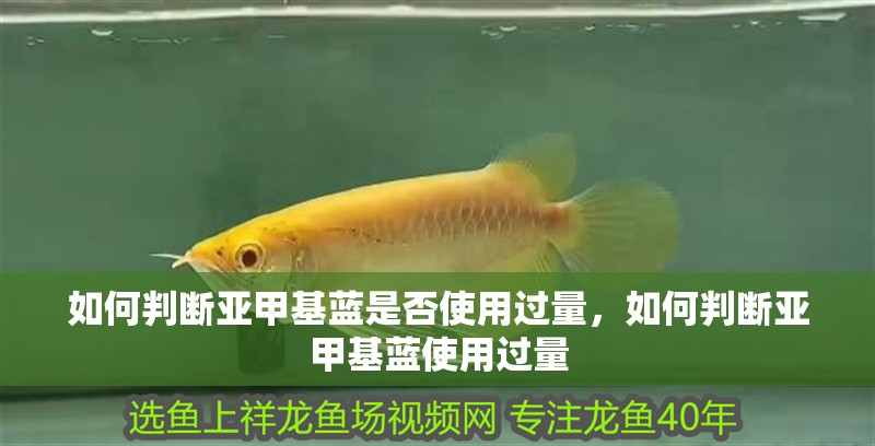 鸚鵡魚和銀龍魚混養怎樣喂食 如何判斷亞甲基藍是否使用過量,如何判斷亞甲基藍使用過量 龍魚百科 如何判斷亞甲基藍是否使用過量,如何判斷亞甲基藍使用過量 如何判斷亞甲基藍是否使用過量,如何判斷亞甲基藍使用過量 龍魚百科