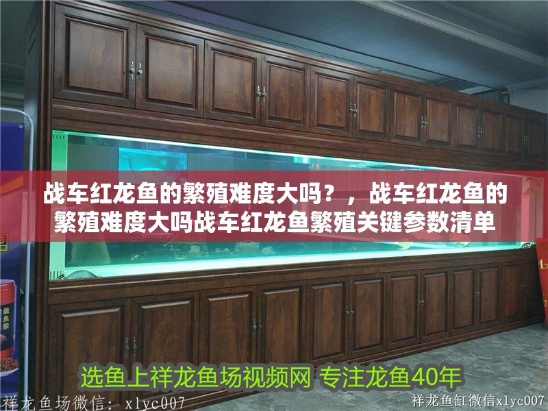 戰車紅龍魚的繁殖難度大嗎？，戰車紅龍魚的繁殖難度大嗎戰車紅龍魚繁殖關鍵參數清單 戰車紅龍魚的繁殖難度大嗎？，戰車紅龍魚的繁殖難度大嗎戰車紅龍魚繁殖關鍵參數清單 龍魚百科