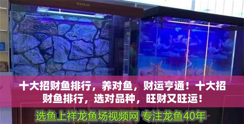十大招財魚排行，養對魚，財運亨通！十大招財魚排行，選對品種，旺財又旺運！ 十大招財魚排行，養對魚，財運亨通！十大招財魚排行，選對品種，旺財又旺運！ 龍魚百科 第1張