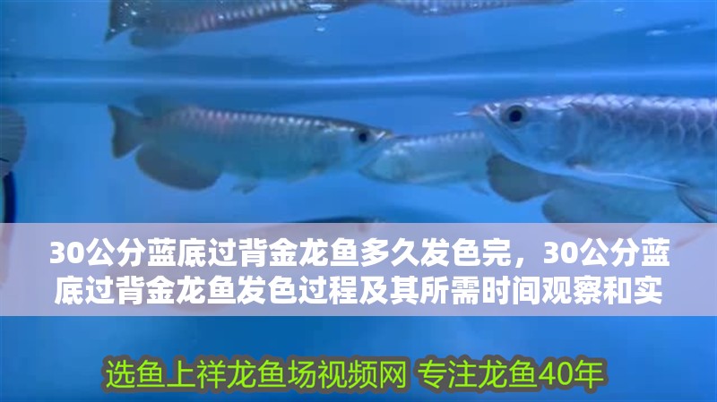 魚缸用增氧泵價格是多少:魚缸增氧機-xtrac增氧機-xtrac增氧機 30公分藍底過背金龍魚多久發色完,30公分藍底過背金龍魚發色過程及其所需時間觀察和實驗 龍魚百科 30公分藍底過背金龍魚多久發色完,30公分藍底過背金龍魚發色過程及其所需時間觀察和實驗 30公分藍底過背金龍魚多久發色完,30公分藍底過背金龍魚發色過程及其所需時間觀察和實驗 龍魚百科