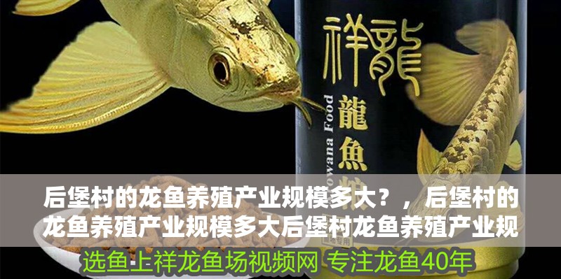 后堡村的龍魚養(yǎng)殖產(chǎn)業(yè)規(guī)模多大？，后堡村的龍魚養(yǎng)殖產(chǎn)業(yè)規(guī)模多大后堡村龍魚養(yǎng)殖產(chǎn)業(yè)規(guī)模多大 后堡村的龍魚養(yǎng)殖產(chǎn)業(yè)規(guī)模多大？，后堡村的龍魚養(yǎng)殖產(chǎn)業(yè)規(guī)模多大后堡村龍魚養(yǎng)殖產(chǎn)業(yè)規(guī)模多大 龍魚百科