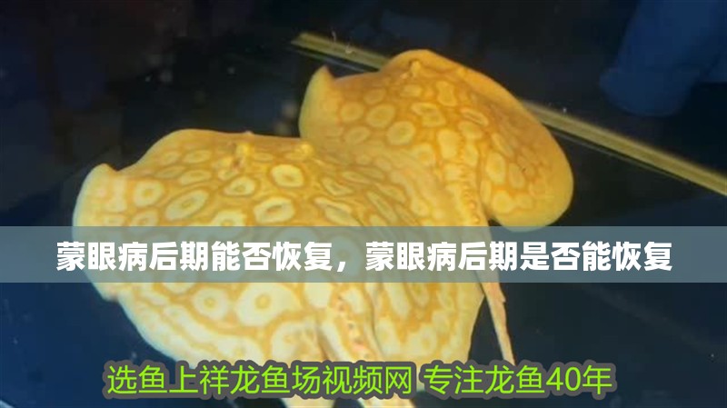我的虎魚真菌感染了要怎么處理 蒙眼病后期能否恢復,蒙眼病后期是否能恢復 龍魚百科 蒙眼病后期能否恢復,蒙眼病后期是否能恢復 蒙眼病后期能否恢復,蒙眼病后期是否能恢復 龍魚百科