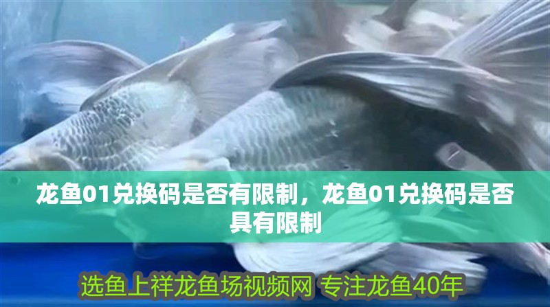 魚缸過濾器選購指南:自制魚缸過濾器魚缸上置過濾器對于養魚愛好者的必備知識 龍魚01兌換碼是否有限制,龍魚01兌換碼是否具有限制 龍魚百科 龍魚01兌換碼是否有限制,龍魚01兌換碼是否具有限制 龍魚01兌換碼是否有限制,龍魚01兌換碼是否具有限制 龍魚百科