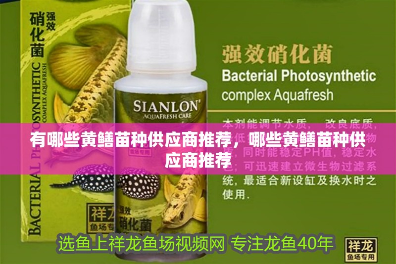有哪些黃鱔苗種供應商推薦，哪些黃鱔苗種供應商推薦 有哪些黃鱔苗種供應商推薦，哪些黃鱔苗種供應商推薦 龍魚百科
