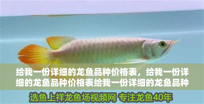 給我一份詳細的龍魚品種價格表，給我一份詳細的龍魚品種價格表給我一份詳細的龍魚品種價格表 給我一份詳細的龍魚品種價格表，給我一份詳細的龍魚品種價格表給我一份詳細的龍魚品種價格表 龍魚百科
