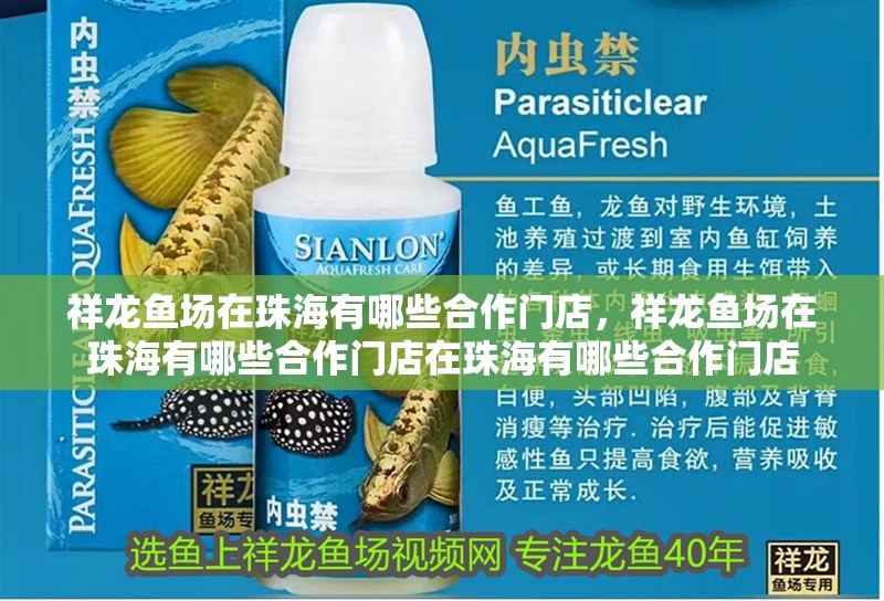 魚缸過濾器選購指南:自制魚缸過濾器魚缸上置過濾器對(duì)于養(yǎng)魚愛好者的必備知識(shí) 祥龍魚場(chǎng)在珠海有哪些合作門店,祥龍魚場(chǎng)在珠海有哪些合作門店在珠海有哪些合作門店 龍魚百科 祥龍魚場(chǎng)在珠海有哪些合作門店,祥龍魚場(chǎng)在珠海有哪些合作門店在珠海有哪些合作門店 祥龍魚場(chǎng)在珠海有哪些合作門店,祥龍魚場(chǎng)在珠海有哪些合作門店在珠海有哪些合作門店 龍魚百科