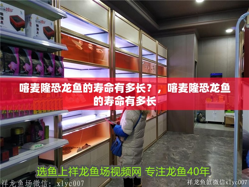 喀麥隆恐龍魚的壽命有多長？，喀麥隆恐龍魚的壽命有多長 喀麥隆恐龍魚的壽命有多長？，喀麥隆恐龍魚的壽命有多長 龍魚百科