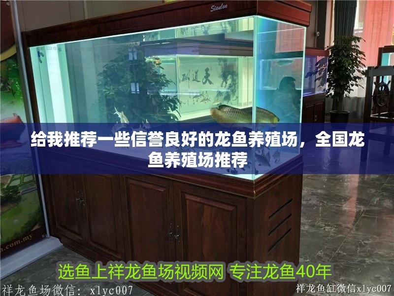 給我推薦一些信譽良好的龍魚養殖場，全國龍魚養殖場推薦 給我推薦一些信譽良好的龍魚養殖場，全國龍魚養殖場推薦 龍魚百科