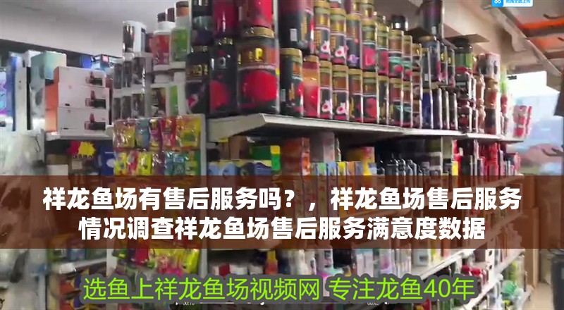 祥龍魚場有售后服務嗎？，祥龍魚場售后服務情況調查祥龍魚場售后服務滿意度數據 祥龍魚場有售后服務嗎？，祥龍魚場售后服務情況調查祥龍魚場售后服務滿意度數據 龍魚百科