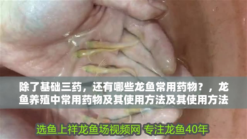 除了基礎三藥，還有哪些龍魚常用藥物？，龍魚養殖中常用藥物及其使用方法及其使用方法及使用方法 除了基礎三藥，還有哪些龍魚常用藥物？，龍魚養殖中常用藥物及其使用方法及其使用方法及使用方法 龍魚百科