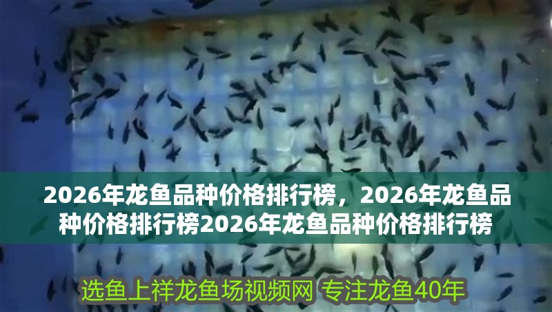 2026年龍魚品種價格排行榜，2026年龍魚品種價格排行榜2026年龍魚品種價格排行榜 2026年龍魚品種價格排行榜，2026年龍魚品種價格排行榜2026年龍魚品種價格排行榜 龍魚百科
