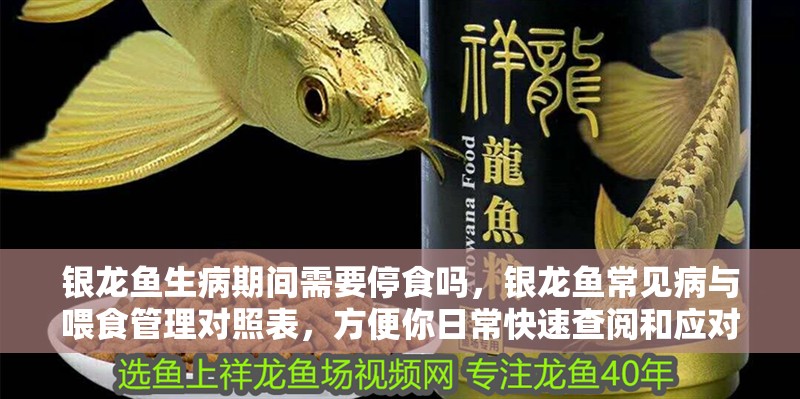 銀龍魚生病期間需要停食嗎，銀龍魚常見病與喂食管理對照表，方便你日常快速查閱和應對 銀龍魚生病期間需要停食嗎，銀龍魚常見病與喂食管理對照表，方便你日常快速查閱和應對 龍魚百科